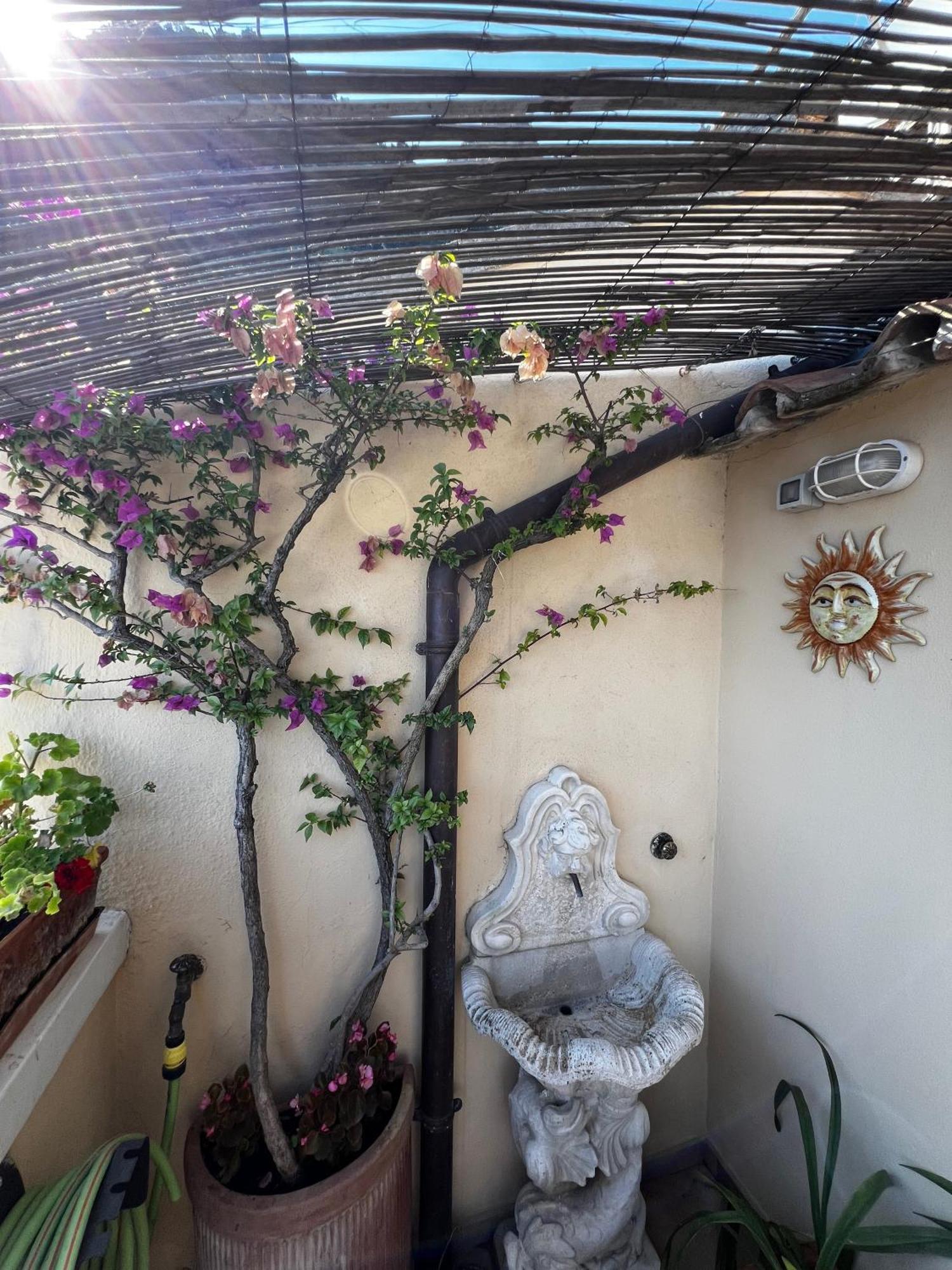 Apartment Casa Angelica